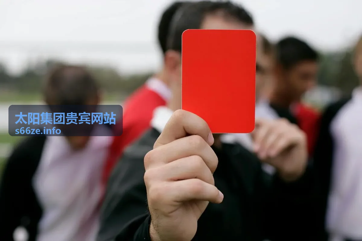 太阳集团贵宾网站 - 贵宾服务系统升级界面示意